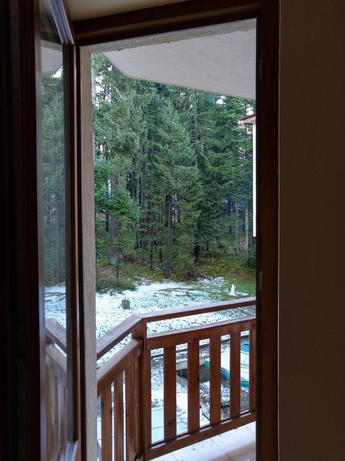 Studio Villa Park 207 Borovets Buitenkant foto